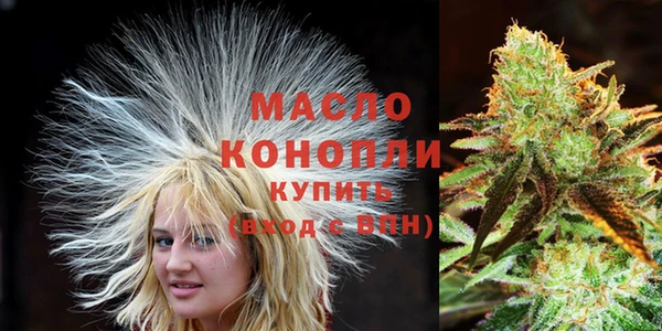 крисы Новозыбков