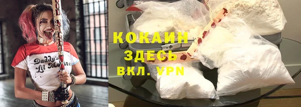 дживик Новодвинск