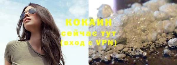 крисы Новозыбков