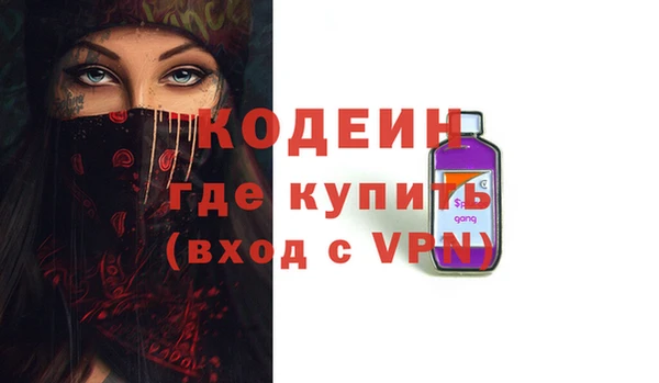 крисы Новозыбков