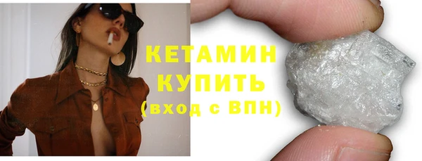 крисы Новозыбков