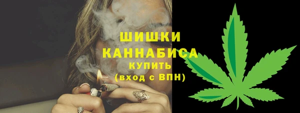 крисы Новозыбков
