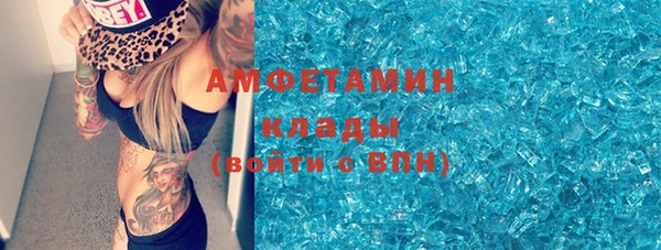 крисы Новозыбков