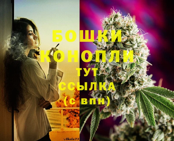 крисы Новозыбков