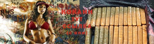 крисы Новозыбков