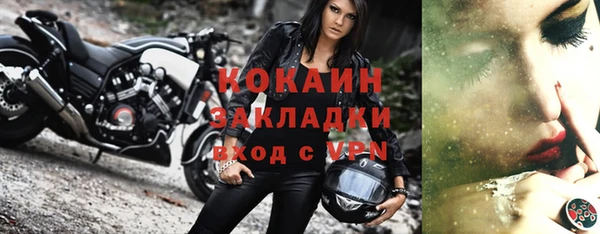 крисы Новозыбков
