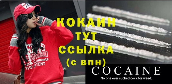 дживик Новодвинск