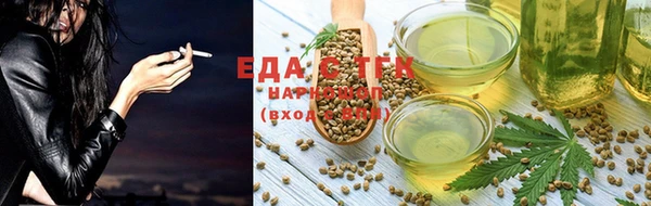 крисы Новозыбков