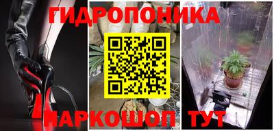 стаф Заводоуковск
