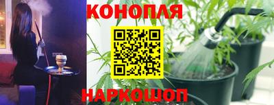 стаф Заводоуковск