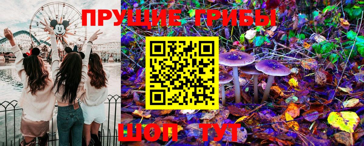 Галлюциногенные грибы GOLDEN TEACHER Кинель