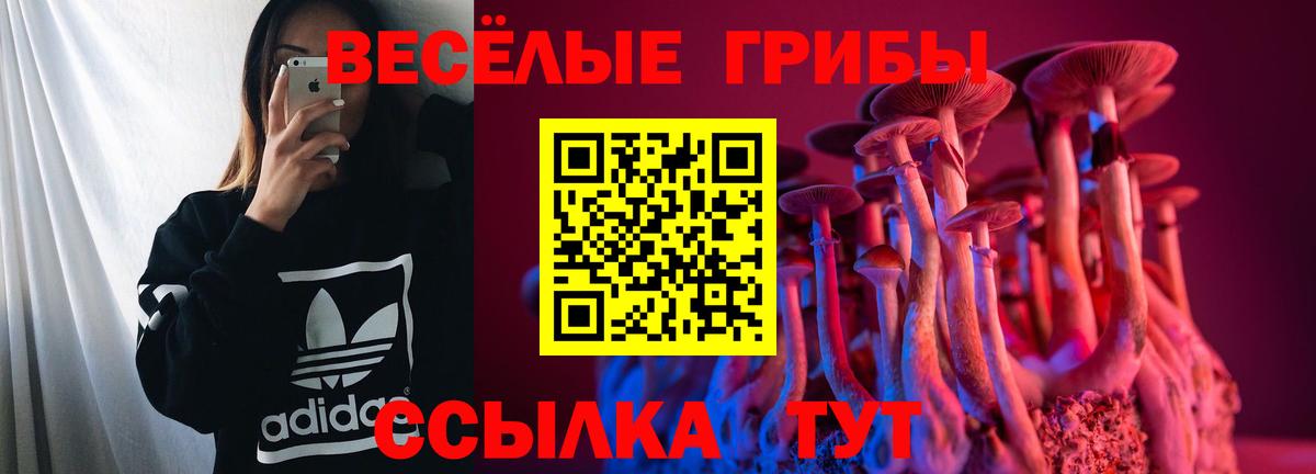 Галлюциногенные грибы ЛСД  Вход с VPN  Кинель 